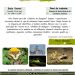 I Bioblitz a Balaguer