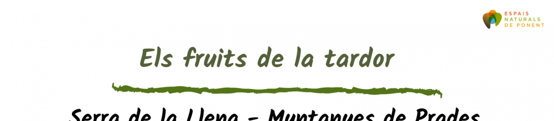 Els fruits de la tardor a Serra de la Llena - Muntanyes de Prades