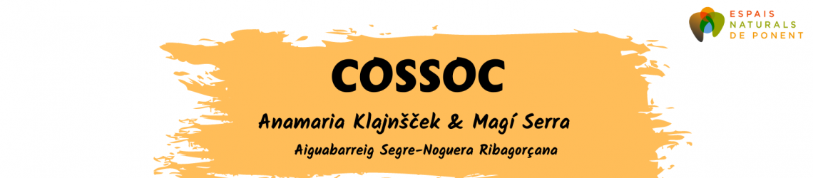 COSSOC, de Magí Serra i Anamaria Klajnšček. Circuit Nòmada (Fira Tàrrega)